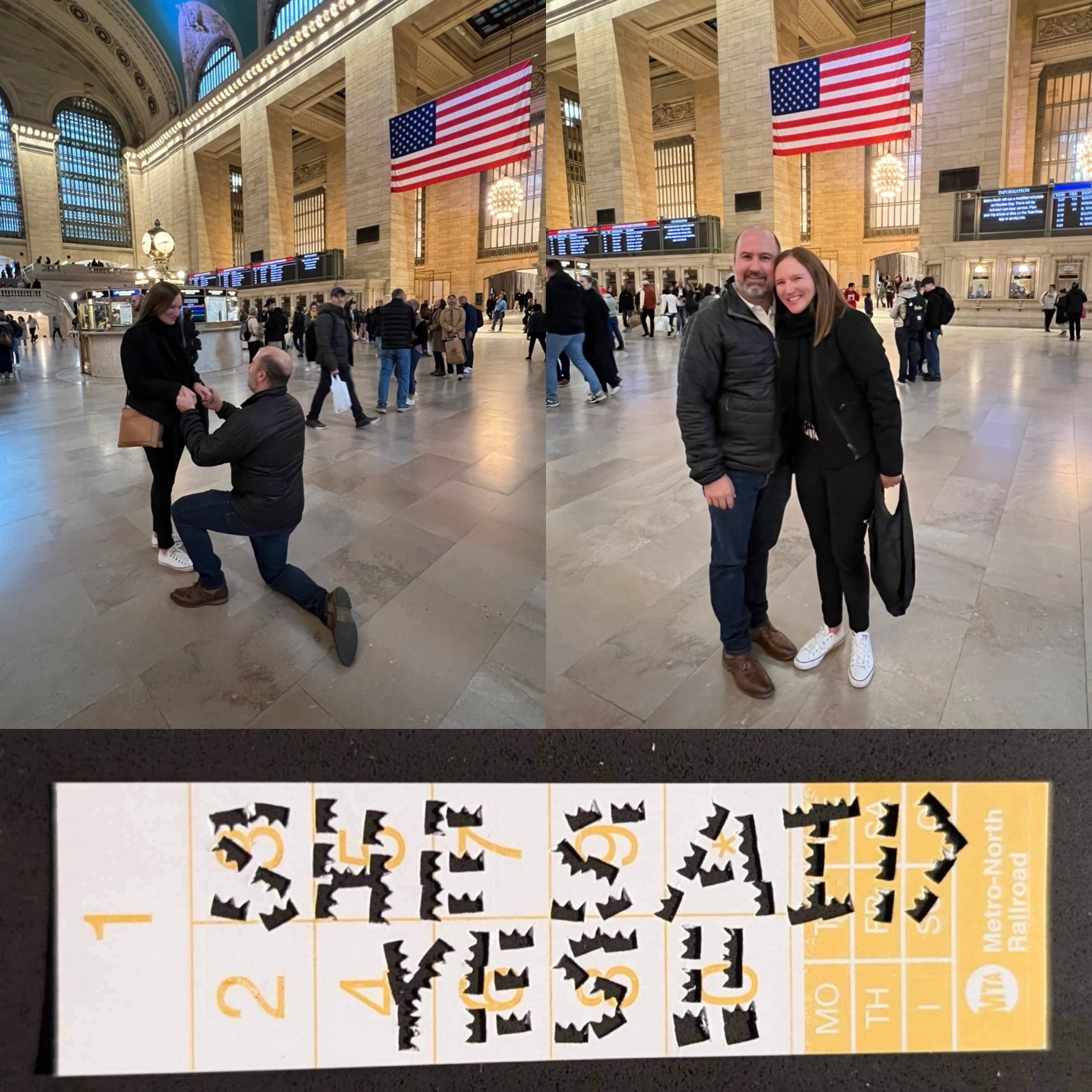 The proposal — Grand Central Station, New York